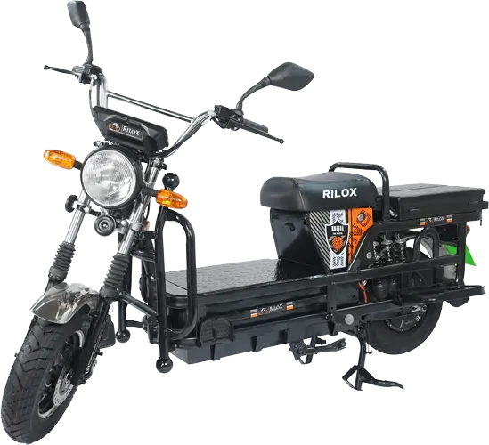 bijli-mini2